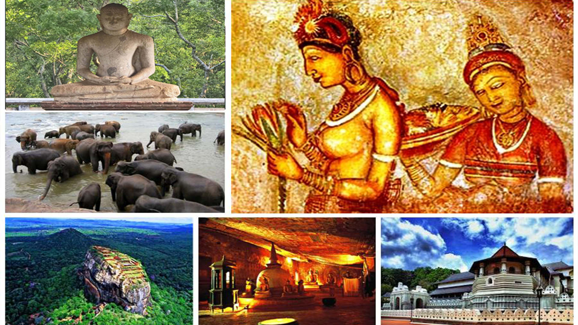 Services untitled 1357