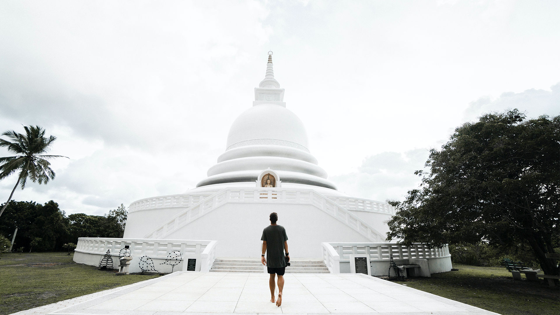 Services untitled 7531