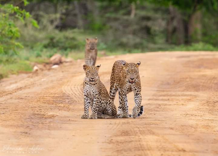 Home whatsapp image 2024 09 20 at 12.56.19 2664d2db 1